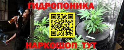 a pvp Гусев