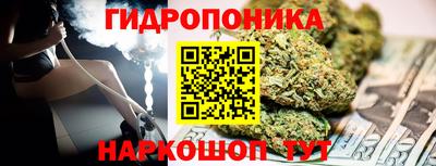 a pvp Гусев