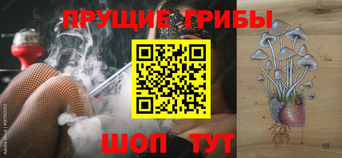 Псилоцибиновые грибы Мелеуз
