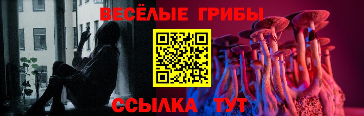Мелеуз  Псилоцибиновые грибы мухоморы  Вход с VPN 